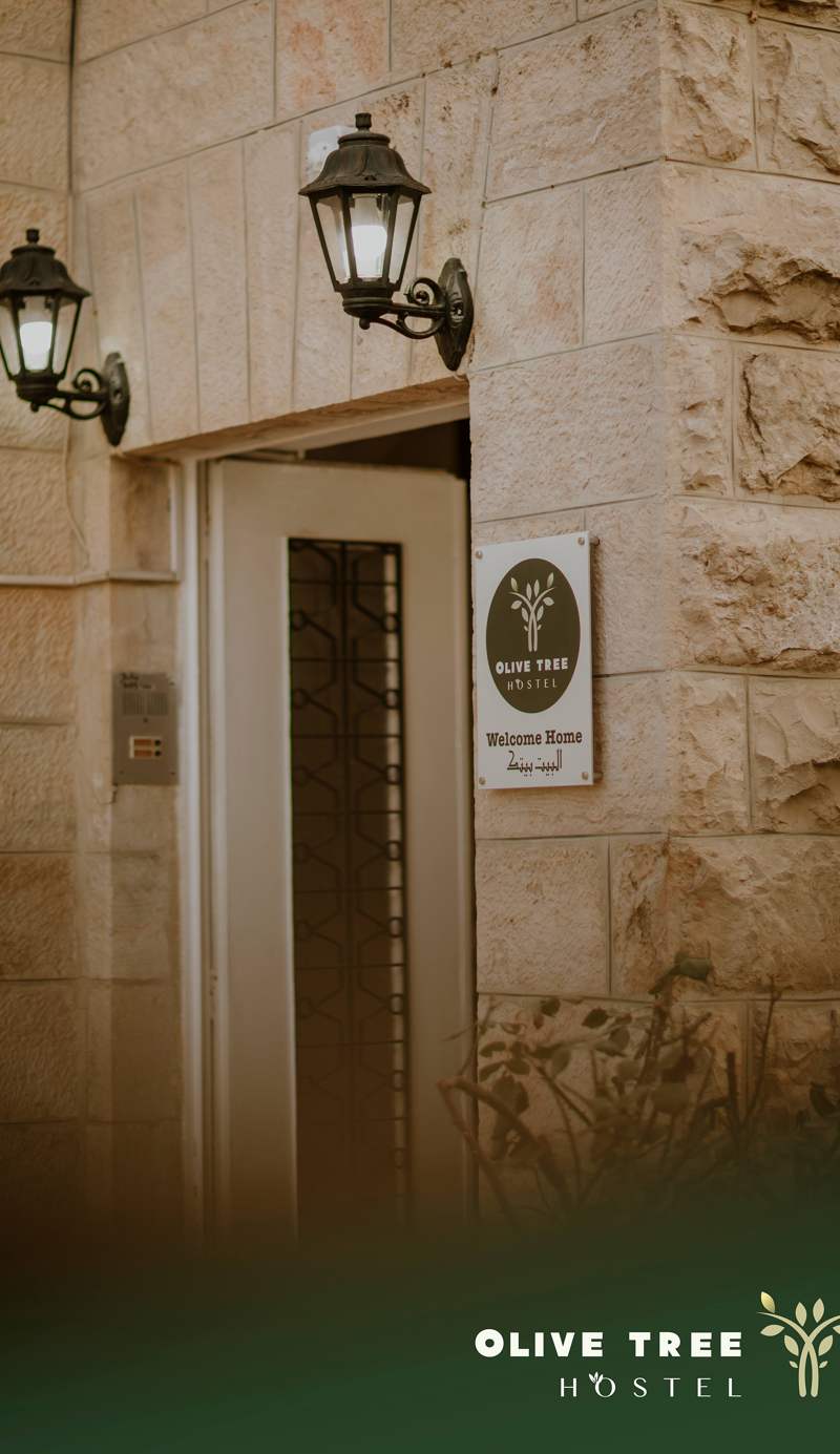 Olive Tree Hostel