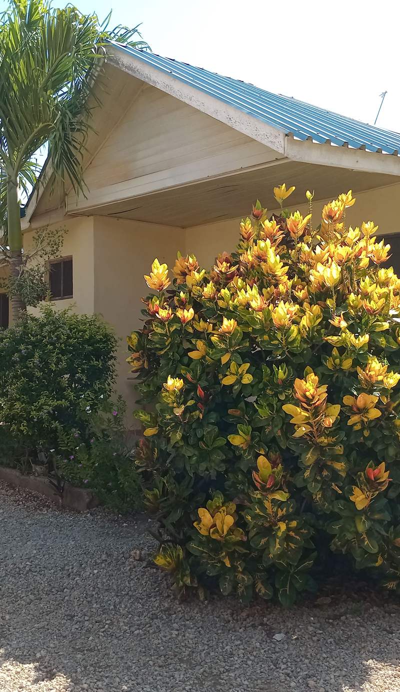 Language Point Cottages