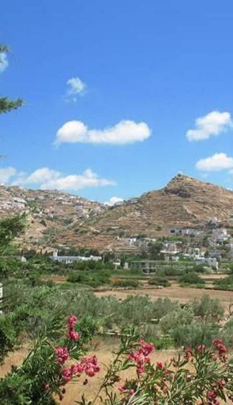 Vesuvio Kampos