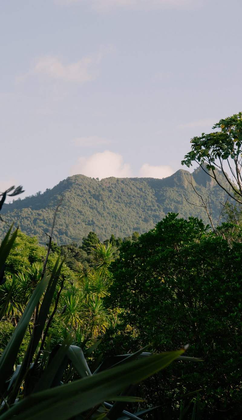 Solscape Eco Retreat