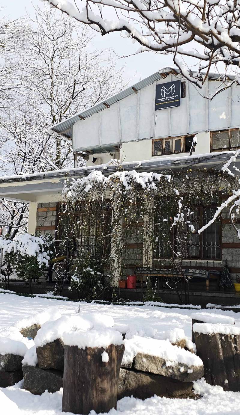 Mars Monkey Hostel and Cafe