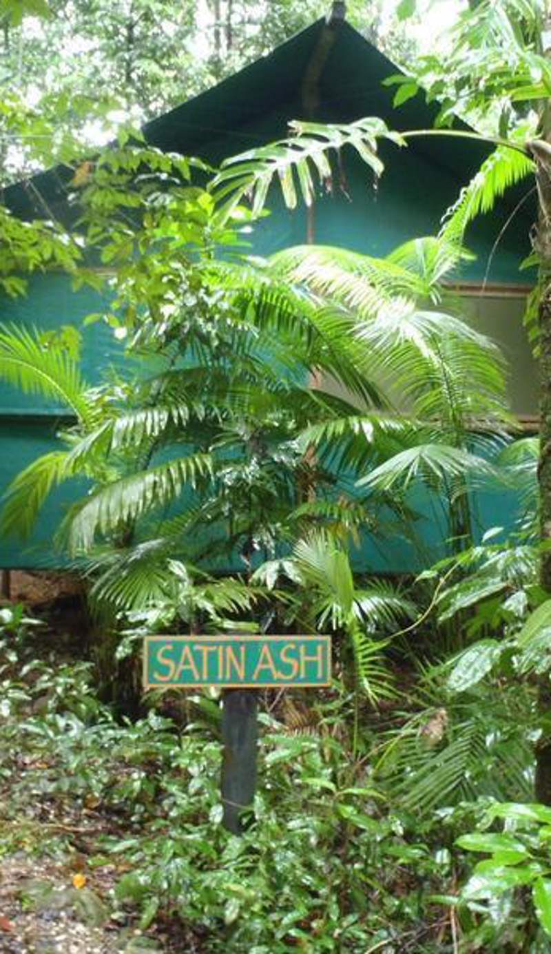 Crocodylus Hostel