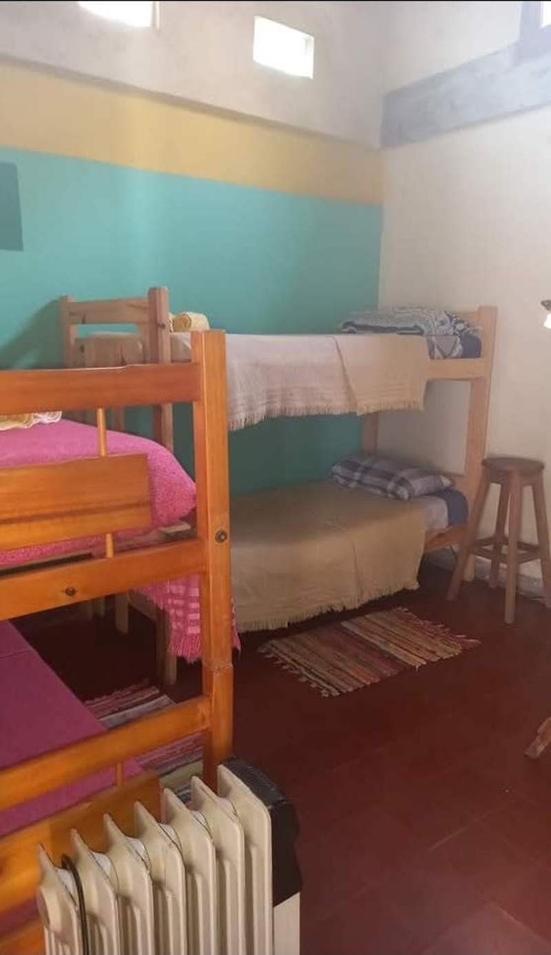 Casa del Arbol Hostel