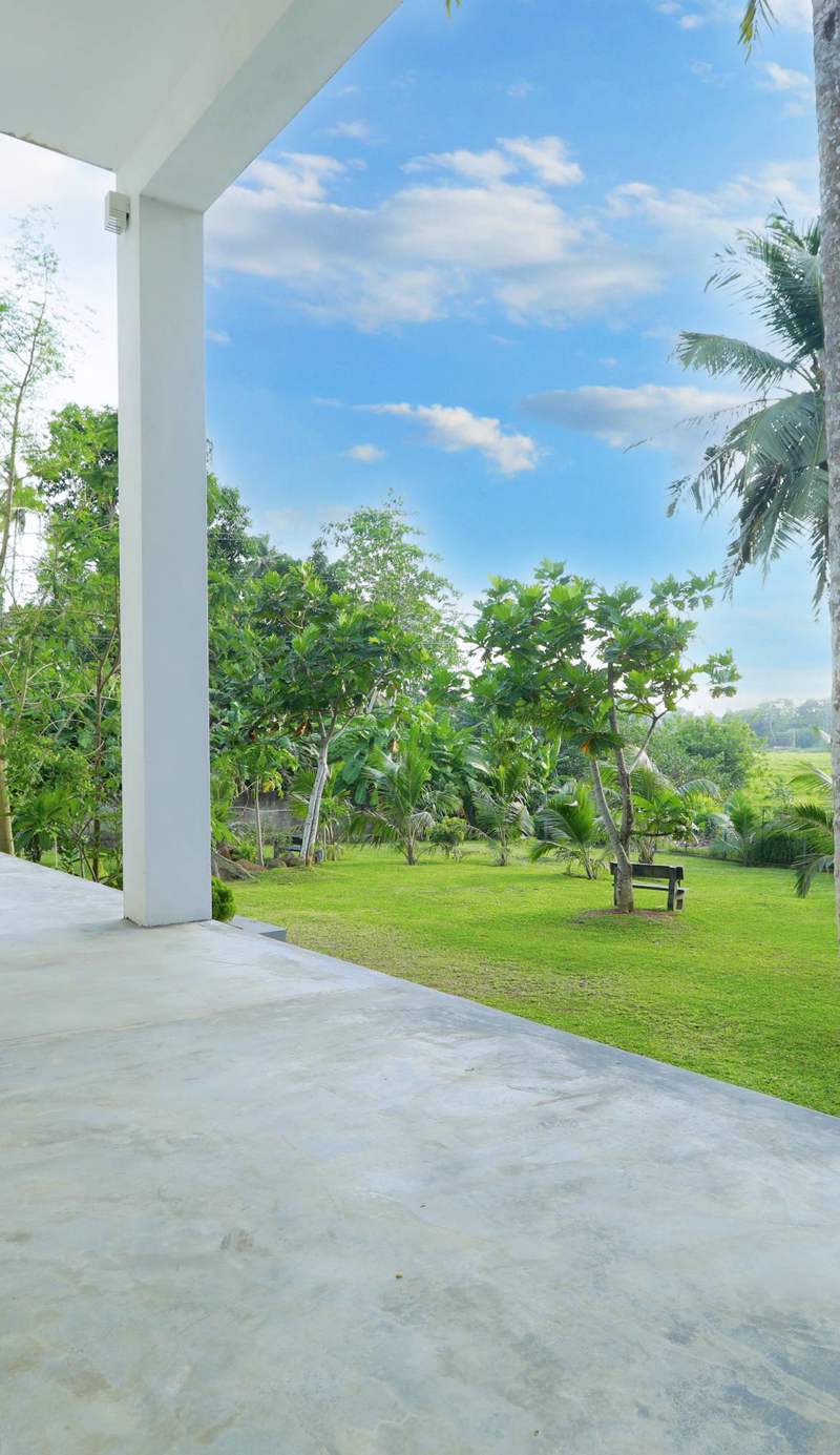 Tranquil Heaven
