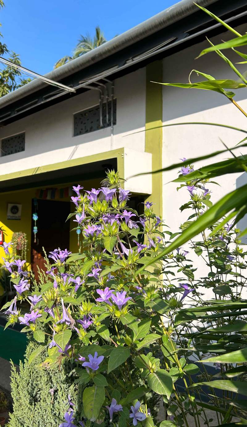 Stargaze Backpackers Hostel