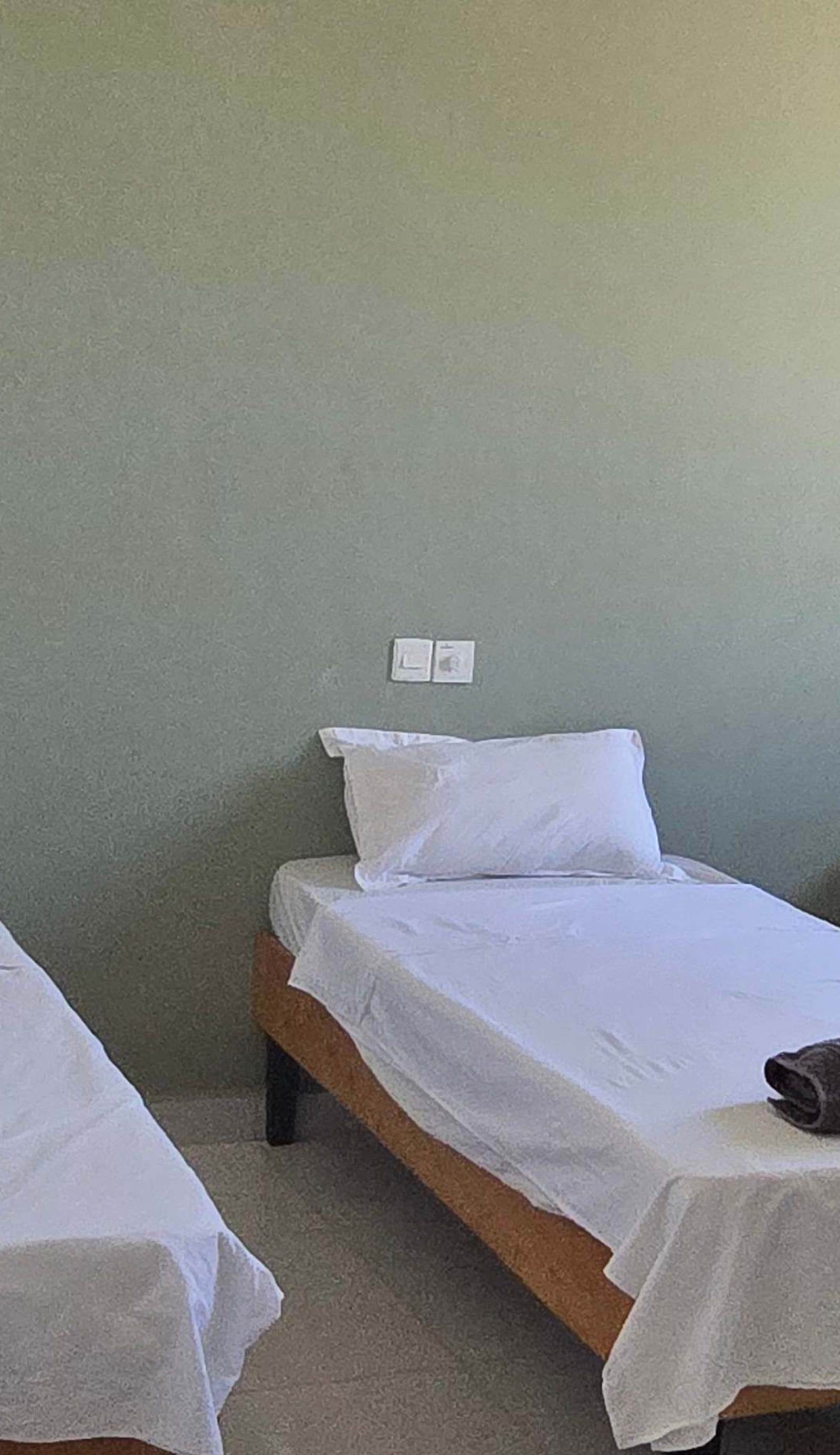 Crocodile Lodge