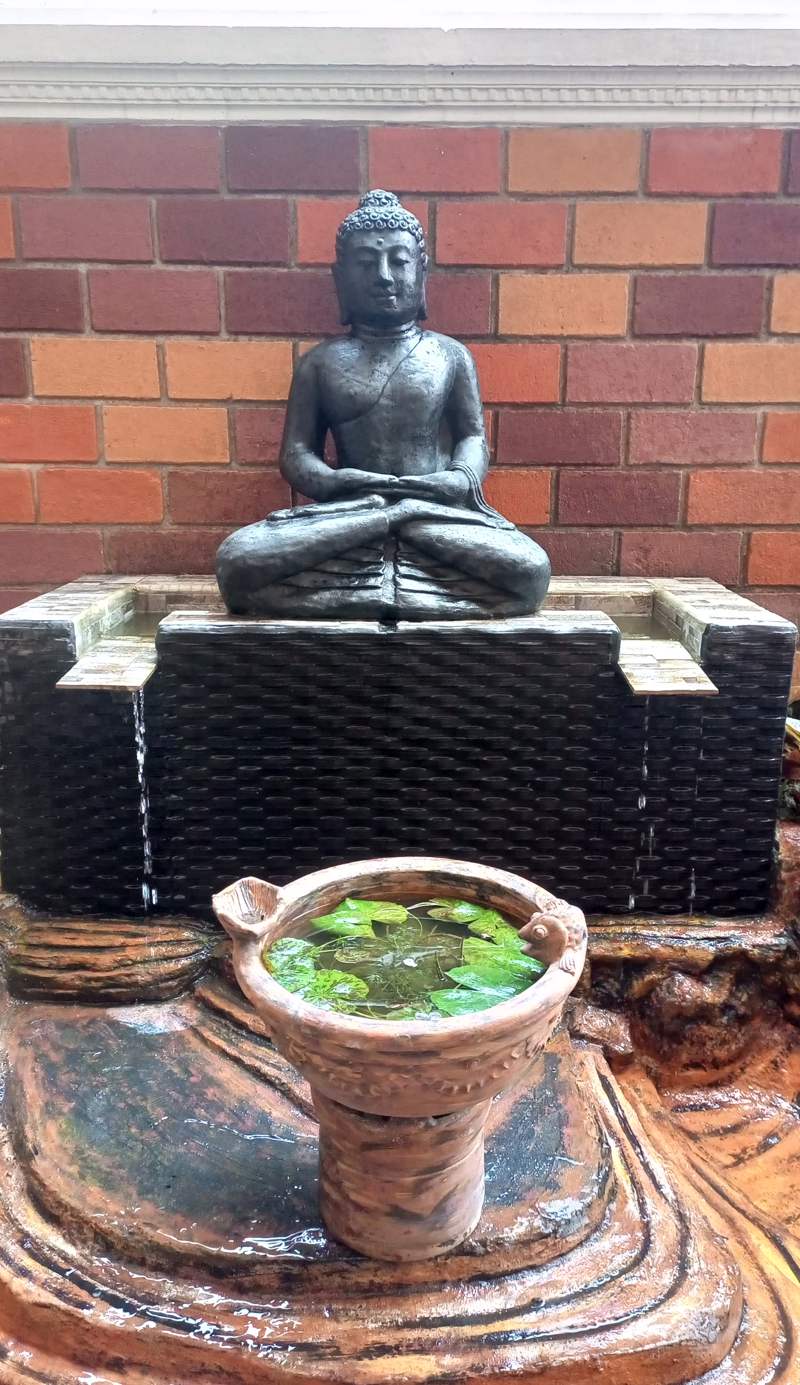 ZEN MOON Hostel