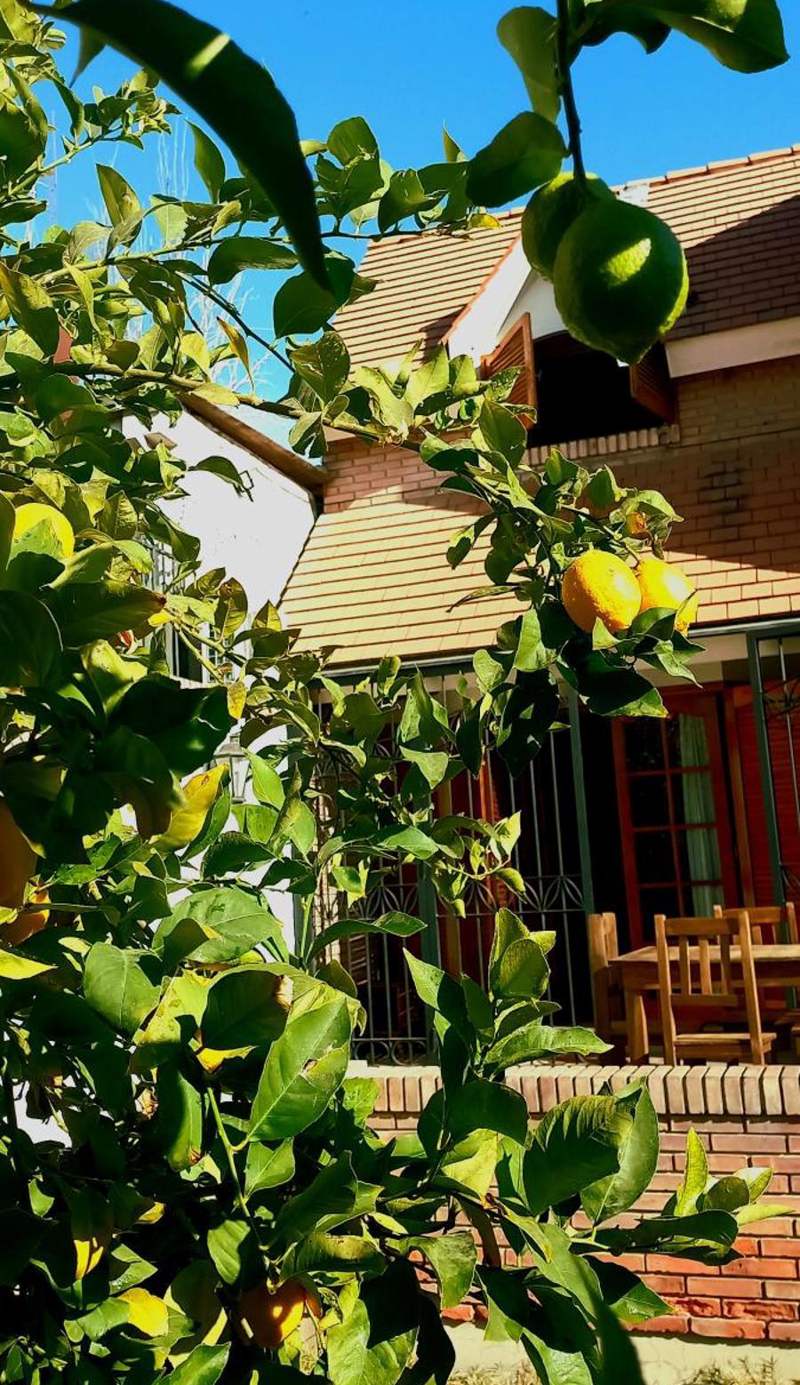 Casa Bravo