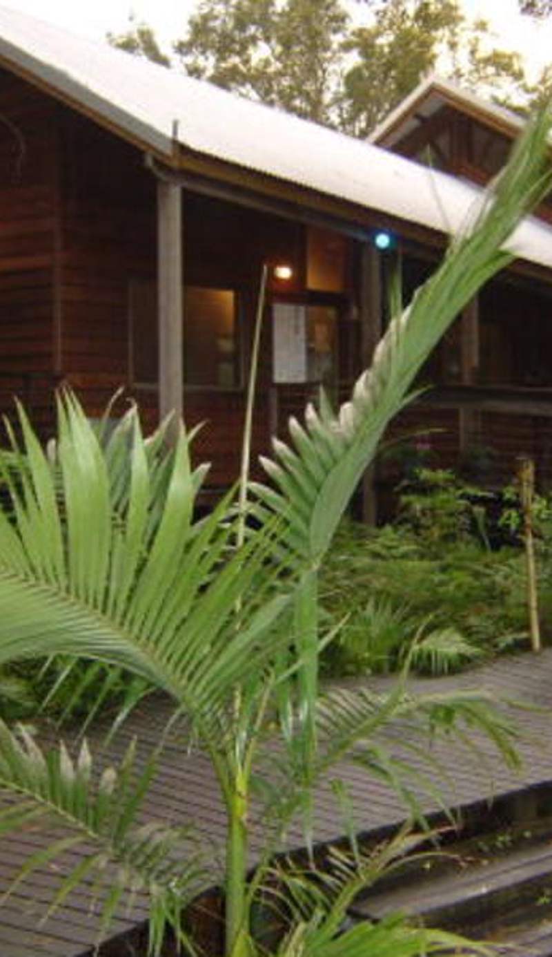 Melaleuca Surfside Backpackers
