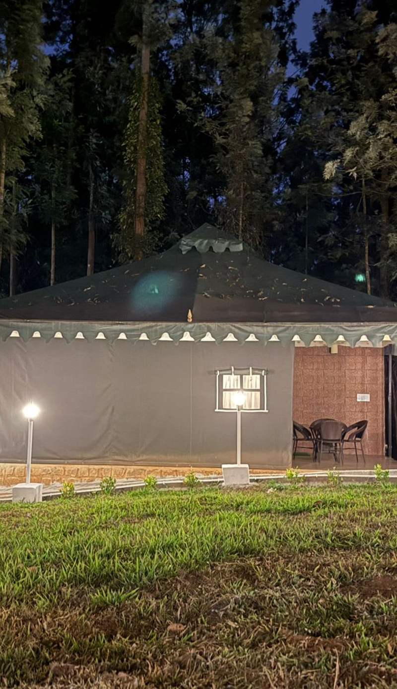 The Wild Deck - Chikkamagaluru