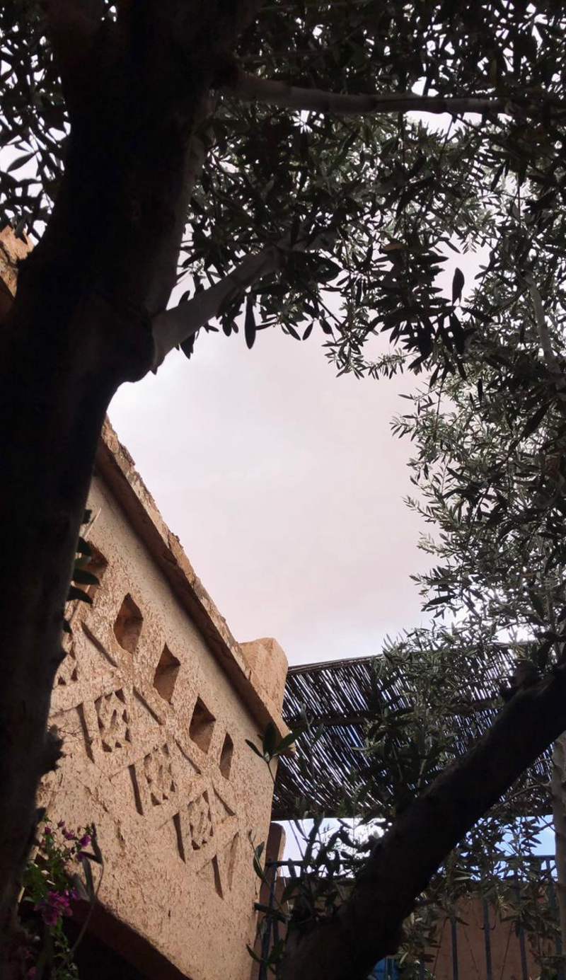 Kasbah Berbère Ouriz
