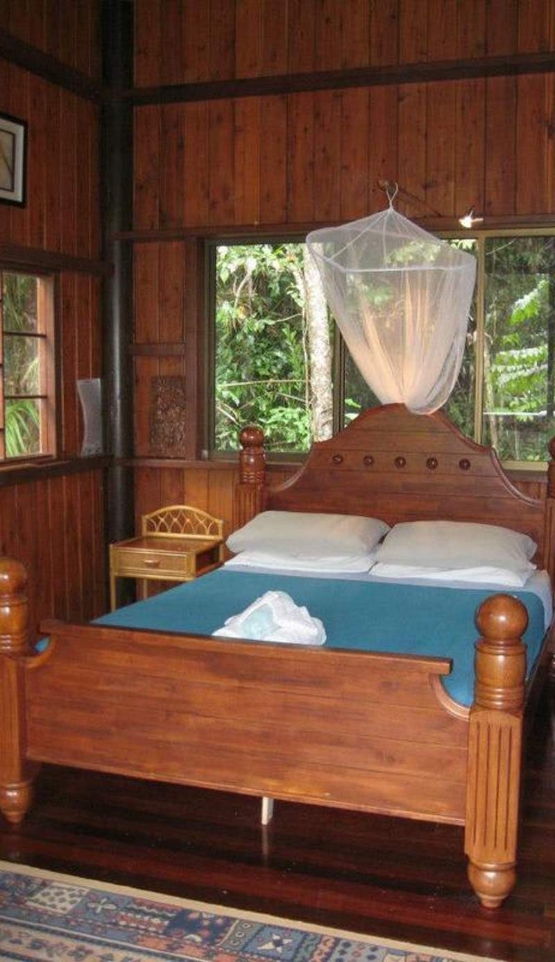 The Epiphyte B & B