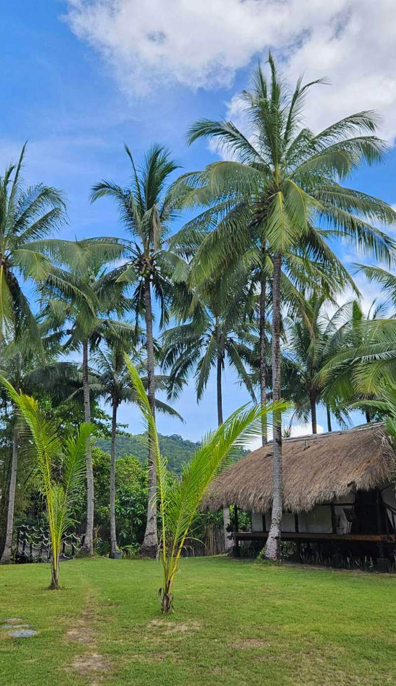 Binga Beach Resort