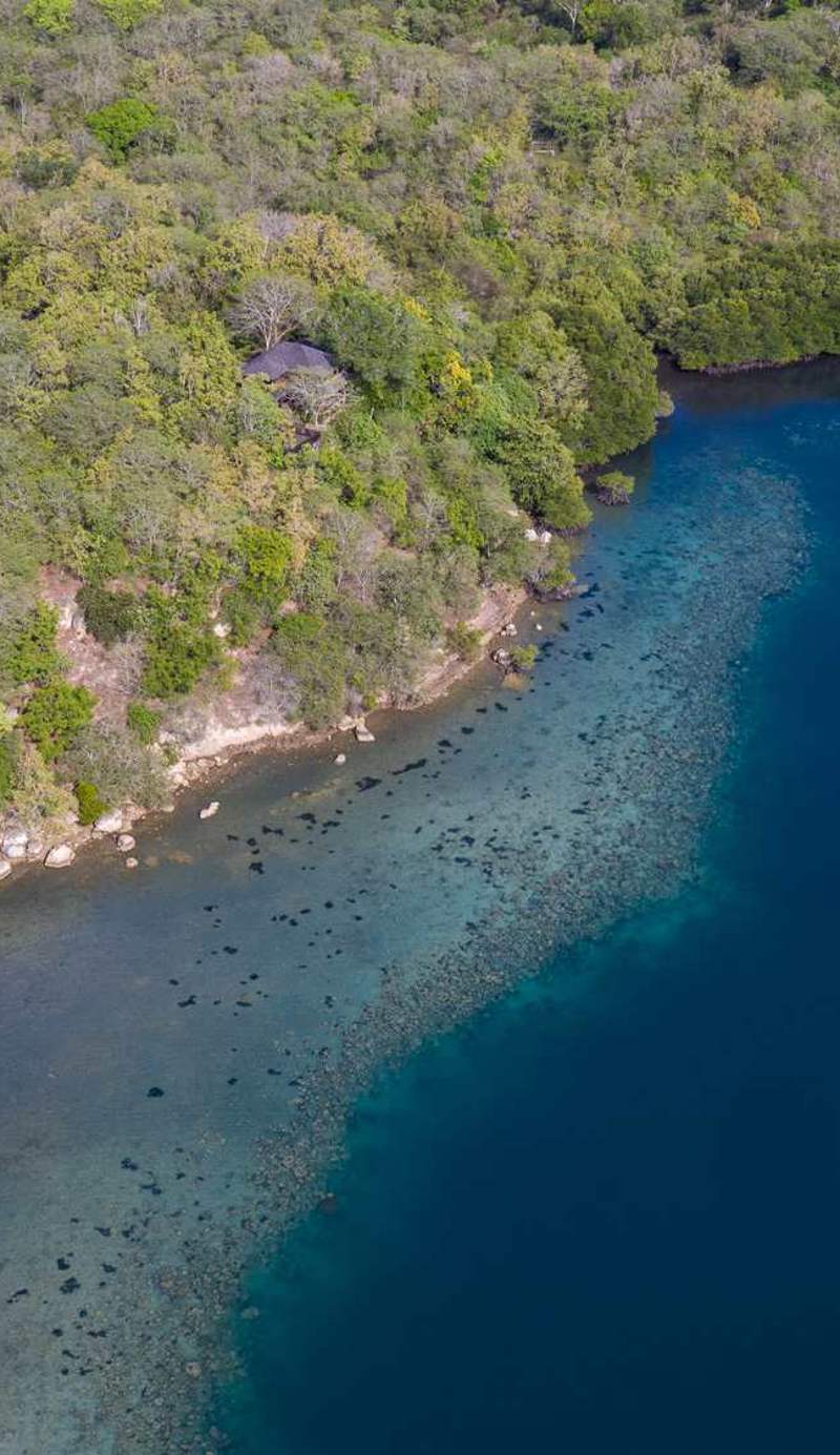 Menjangan Ecolodge