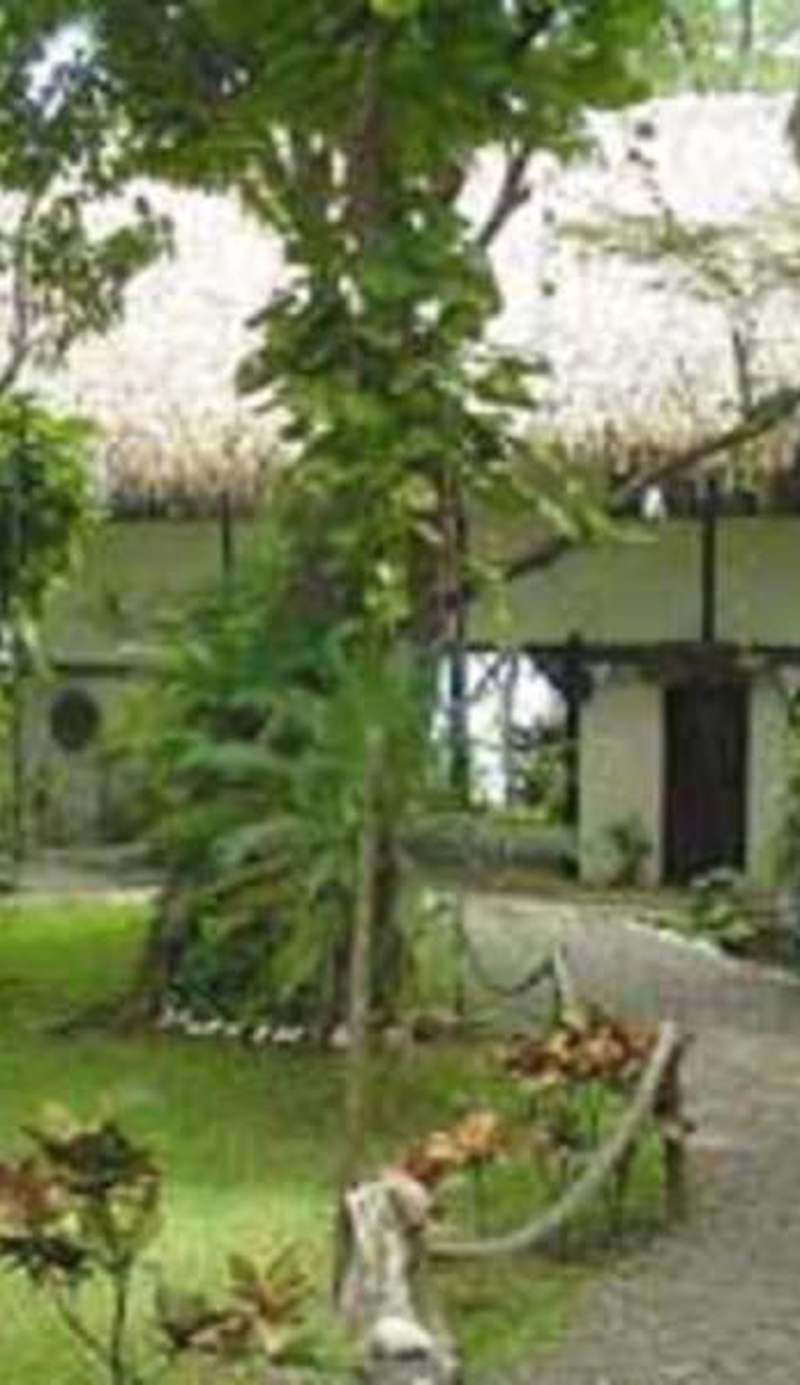 Tree Tops Bed & Breakfast