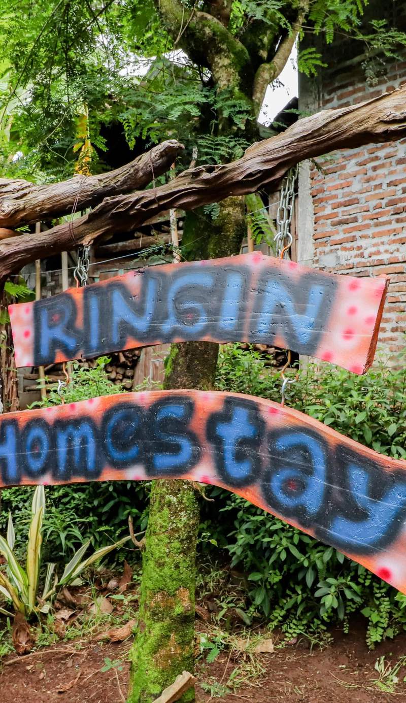 Ringin Guesthouse