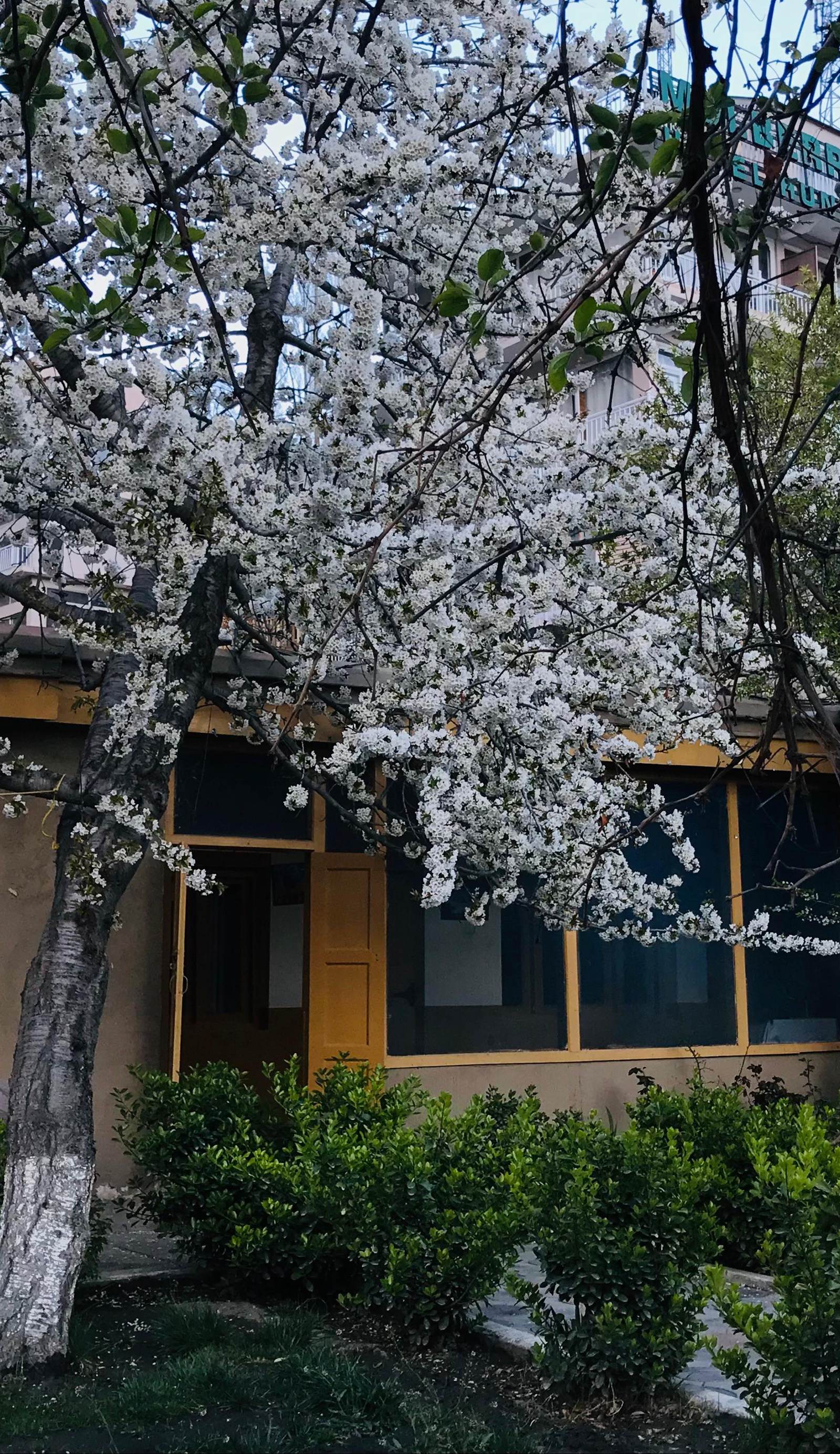 Hunza Backpackers Inn