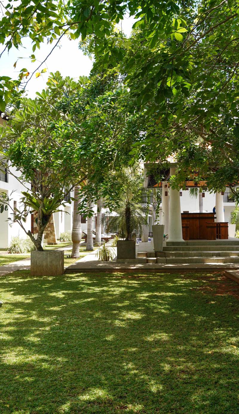 Hotel Tamarind Tree