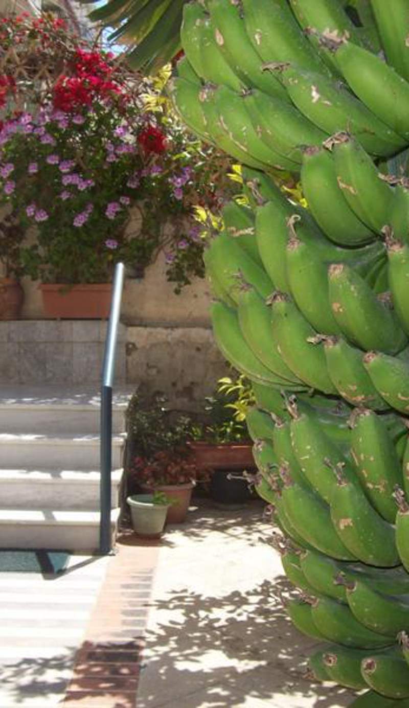 Diana Guesthouse