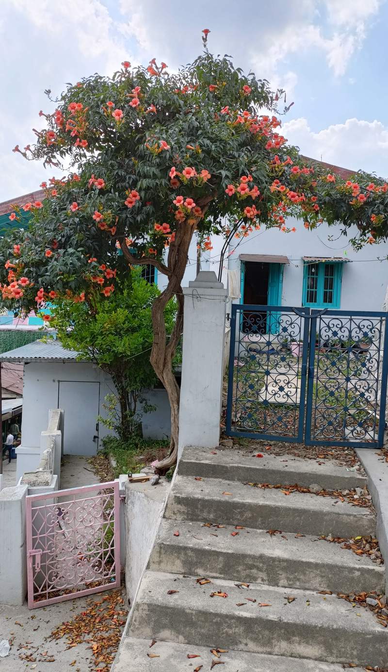Mohraj Homestay Bhowali