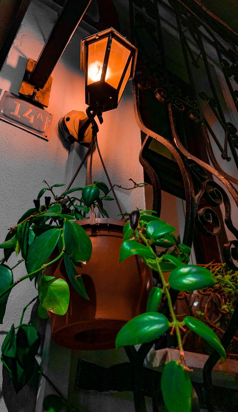 Gaia Art Hostel