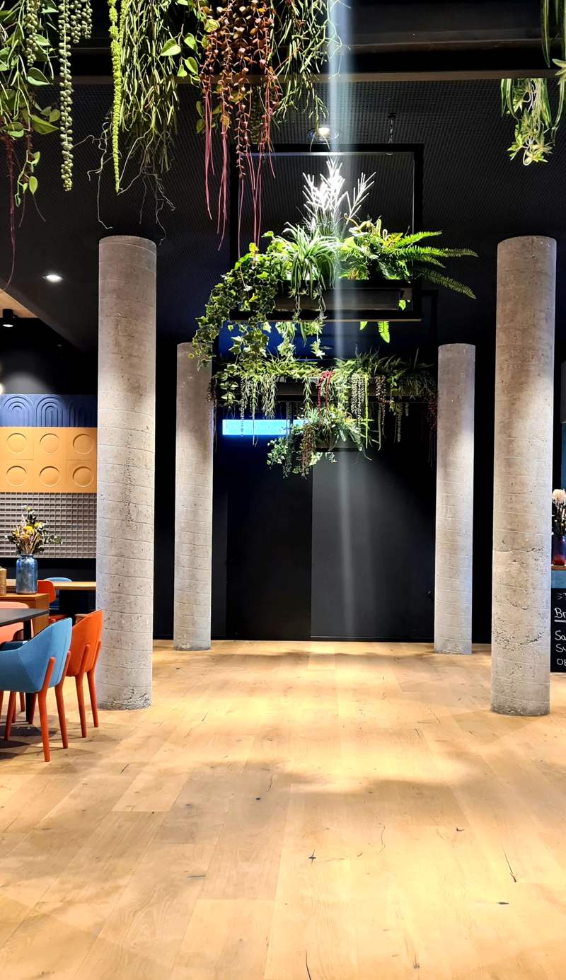 Koncept Hotel International