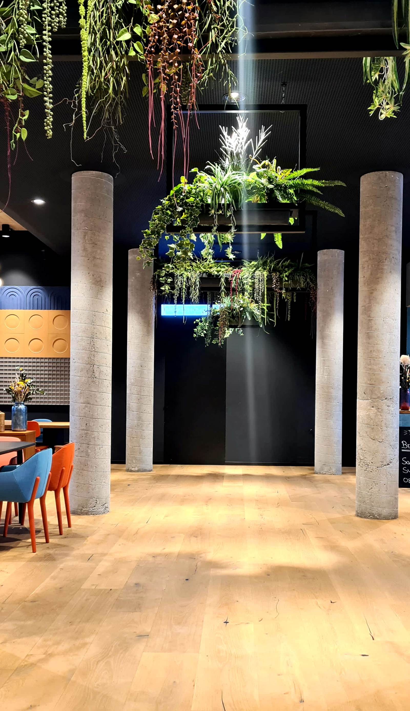 Koncept Hotel International
