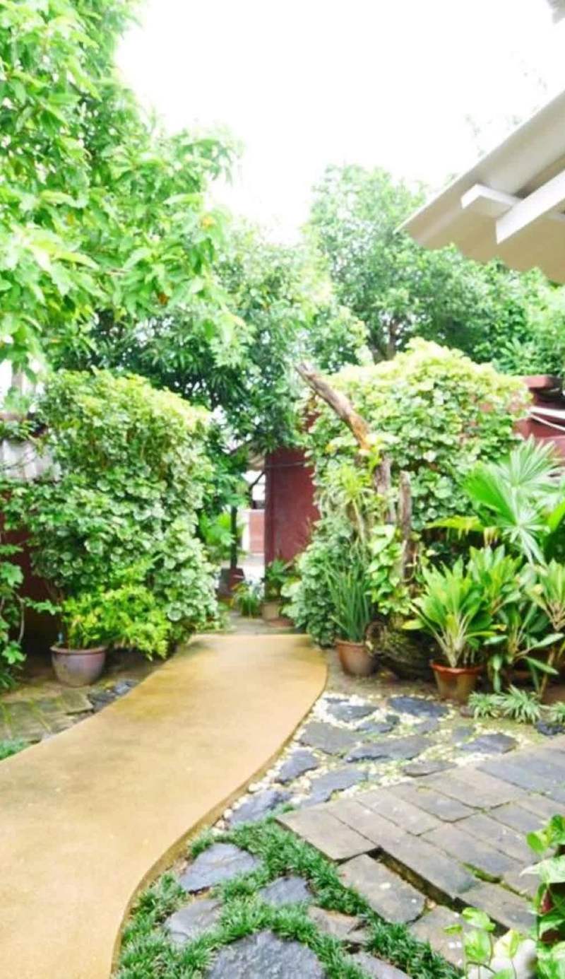 Forest Bungalows & Mama's Restaurant