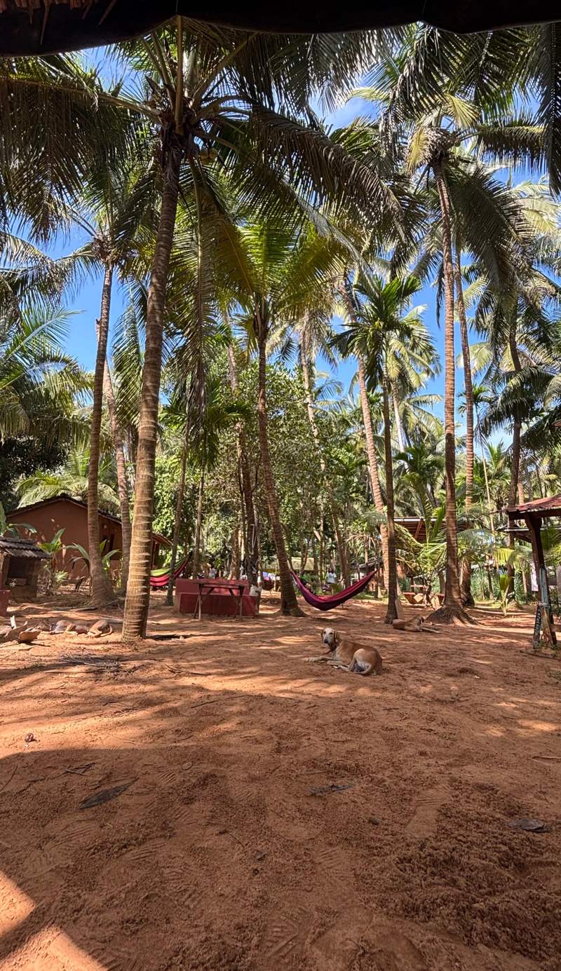 Experience Gokarna with HostelExp