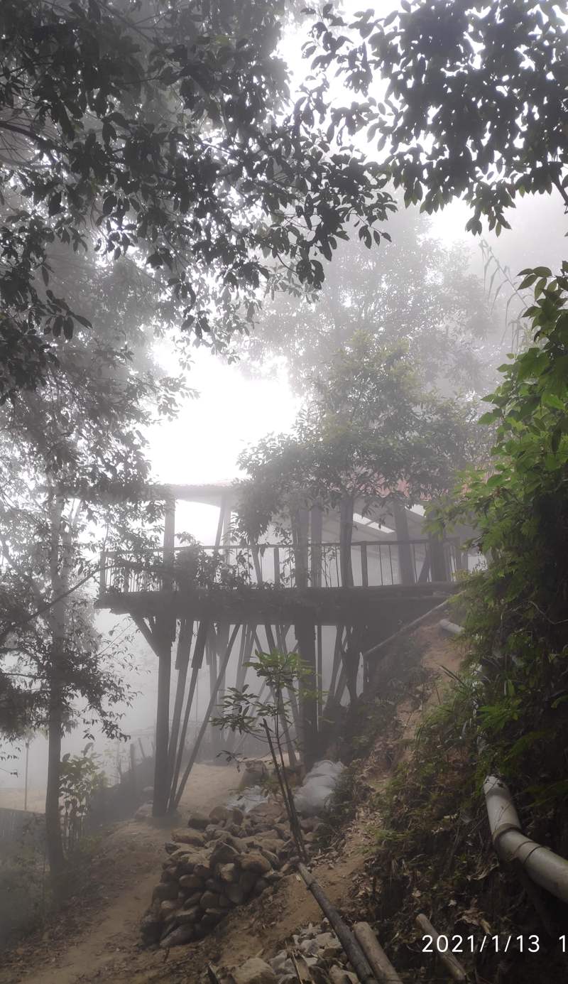 Tieedi Forest Garden