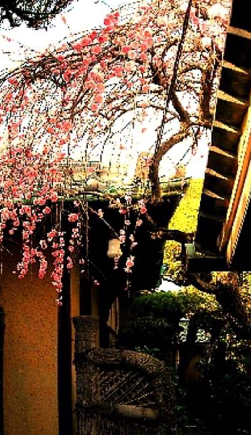 Guesthouse Nara Backpackers