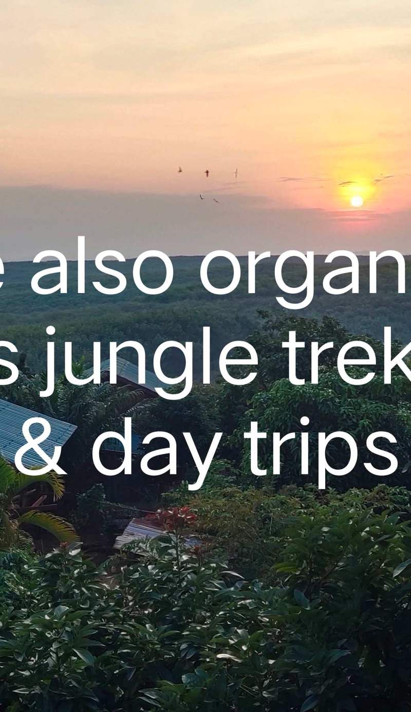 Tree Trails Travel Lodge
