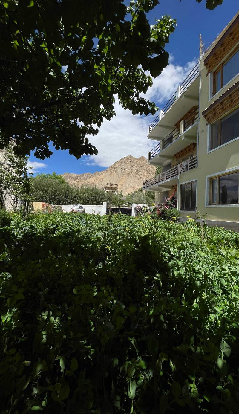 Zlatan Guest House