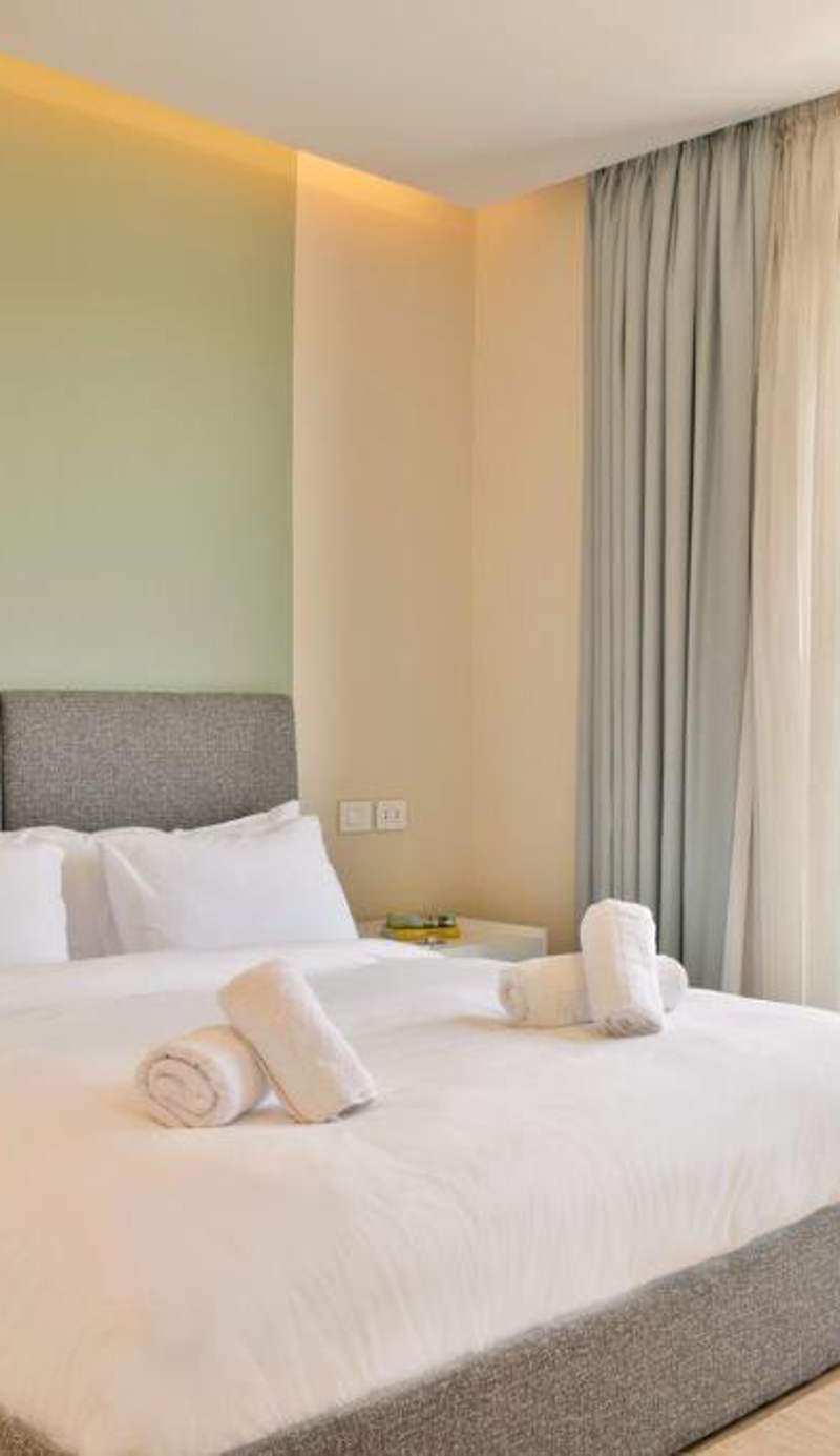Balboa Silver Palm | New Cairo