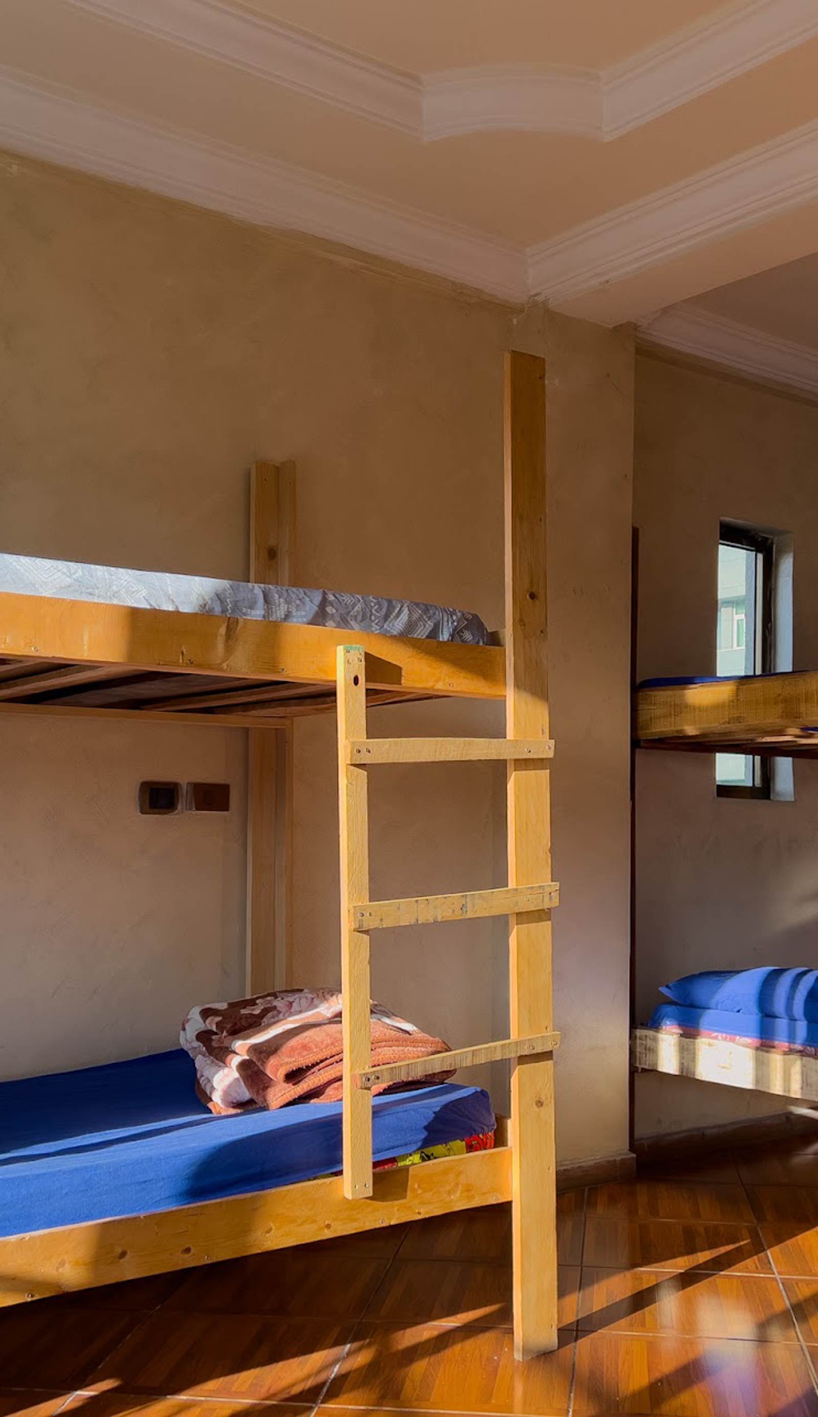 Mad Vervet Hostel