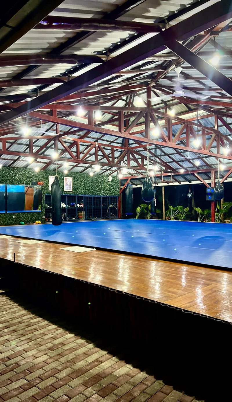 Jungle's Edge Hotel