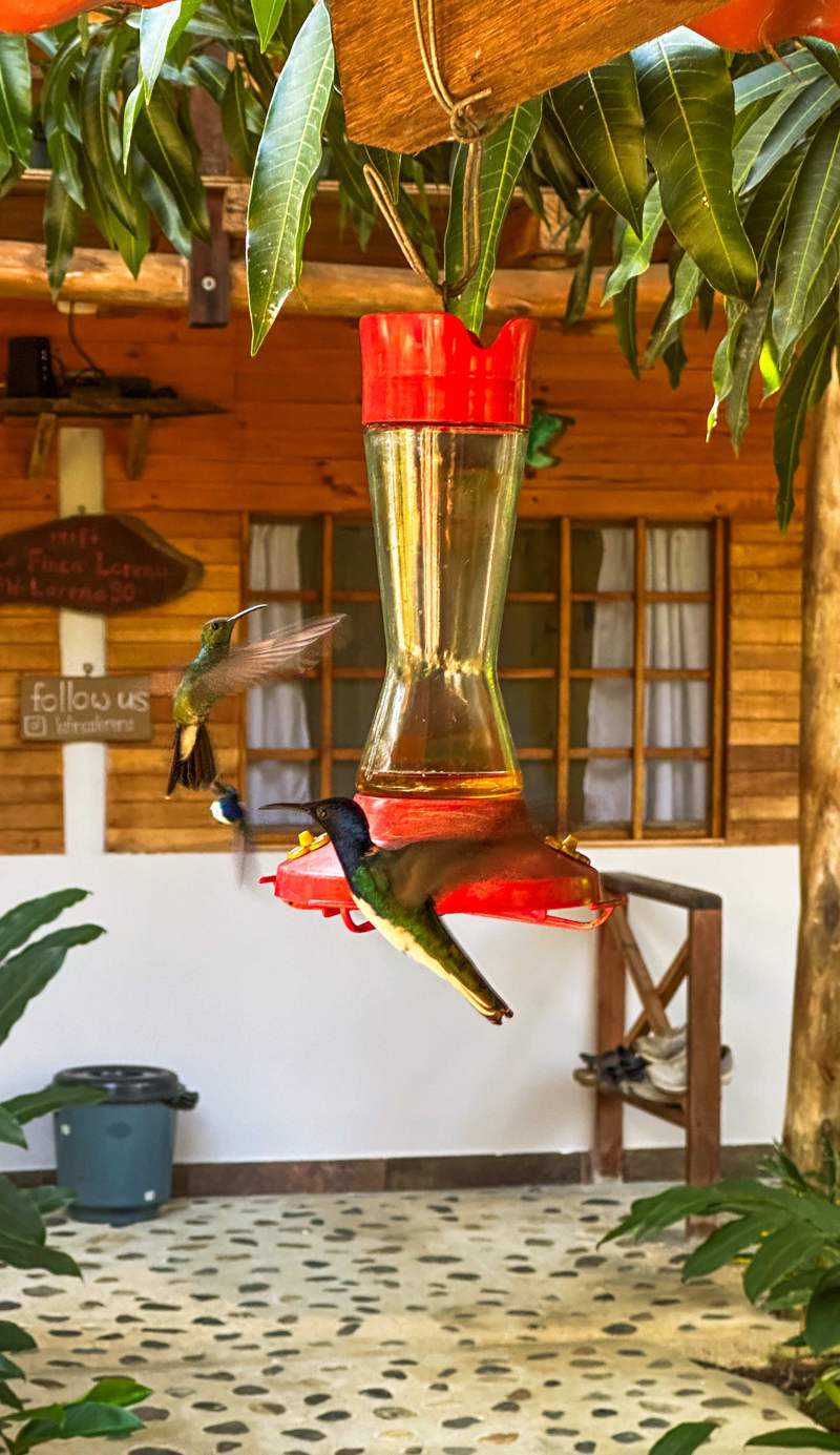 La Finca Lorena Tayrona