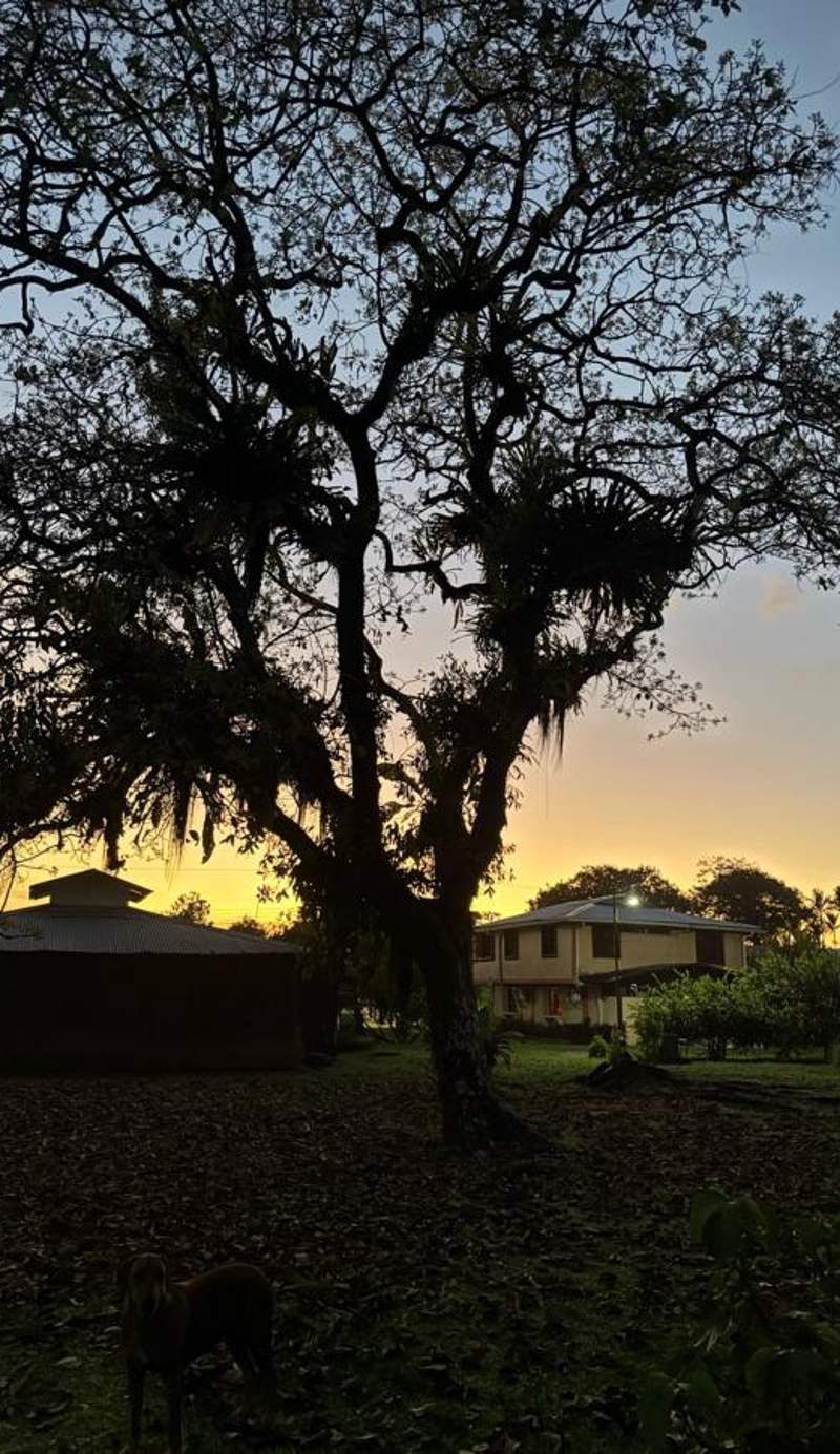 Hotel Tortuguero Beachfront