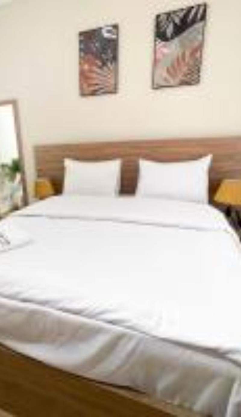 Settle Inn Banafseg Apartments