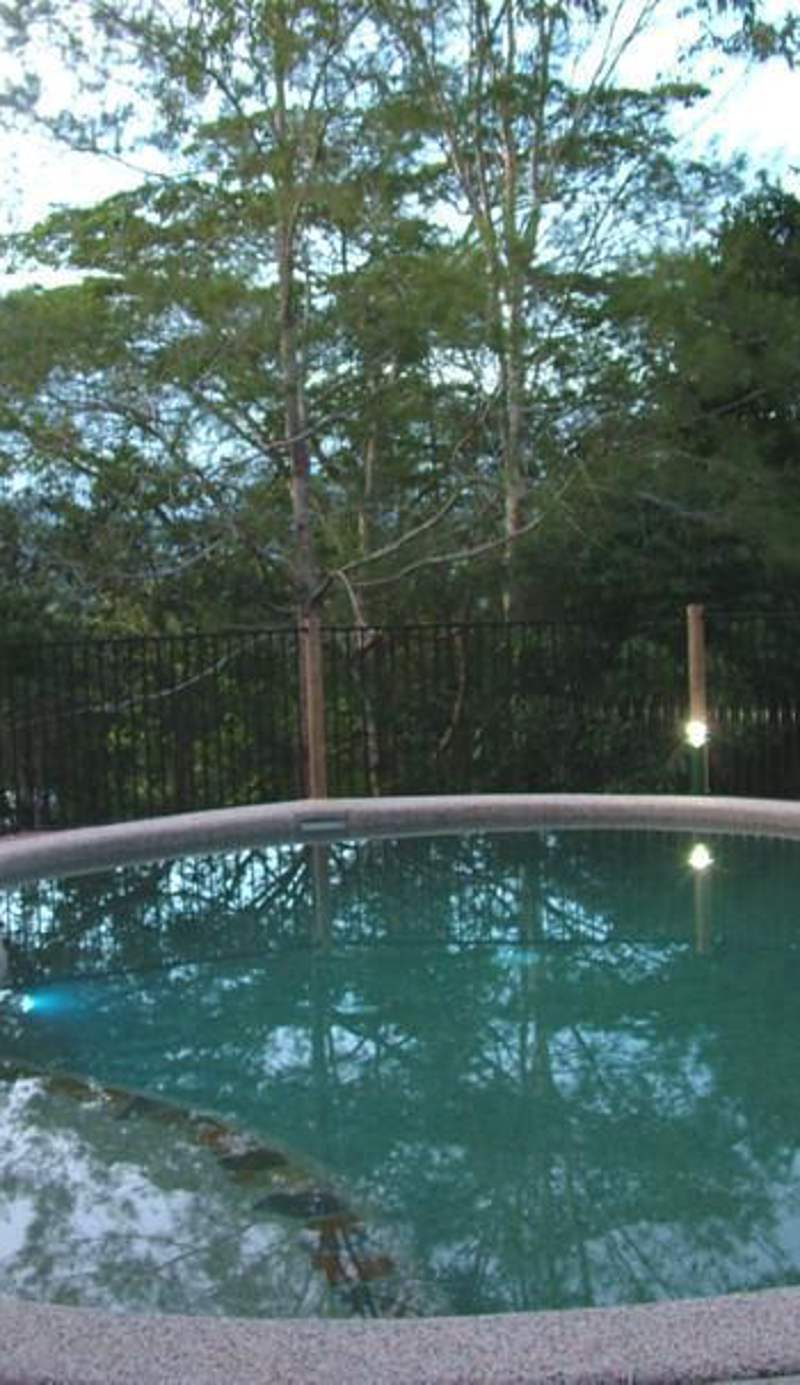 Atherton Blue Gum B&B