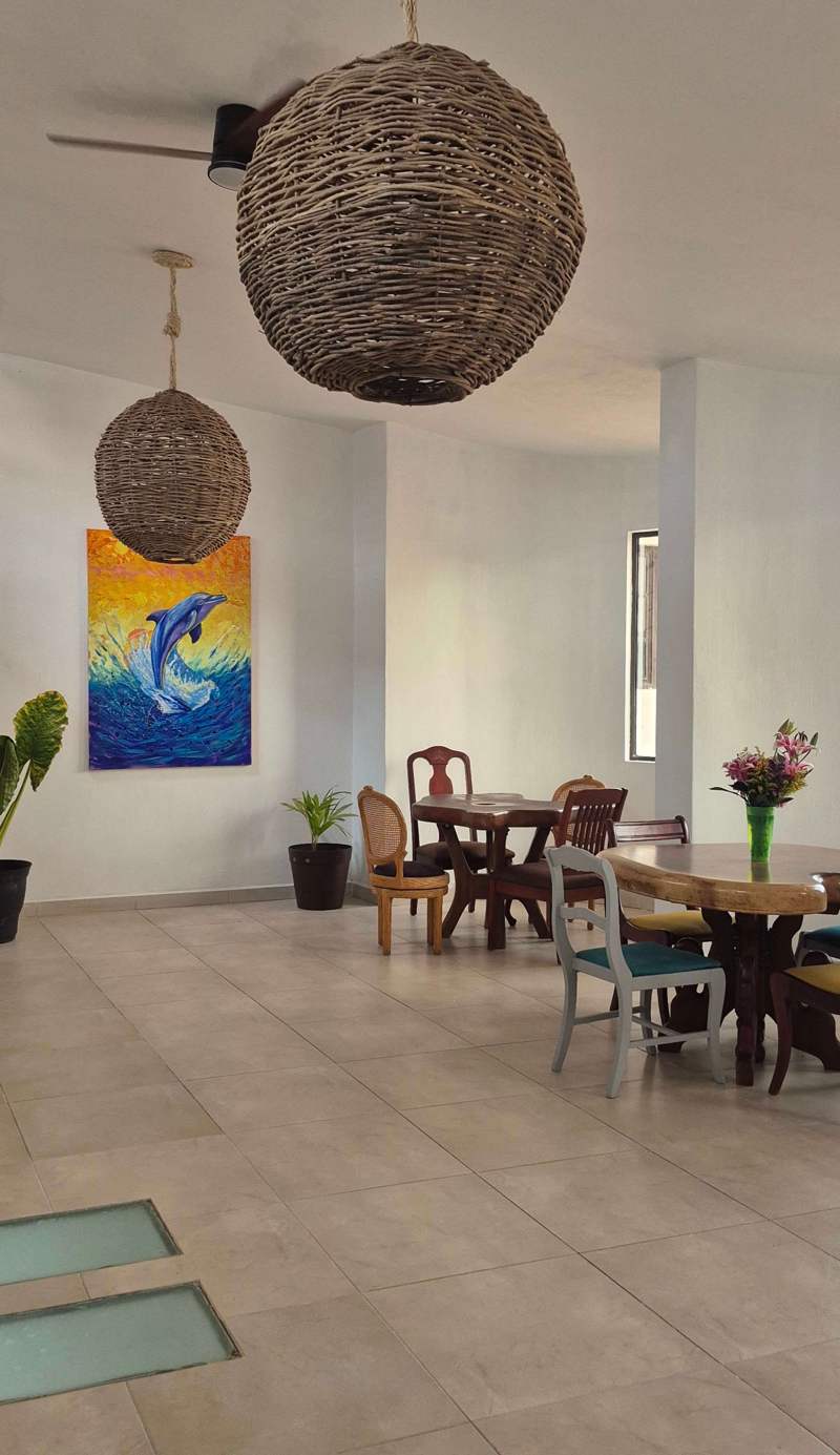 Manglar Y Sal Hostel & Cafe