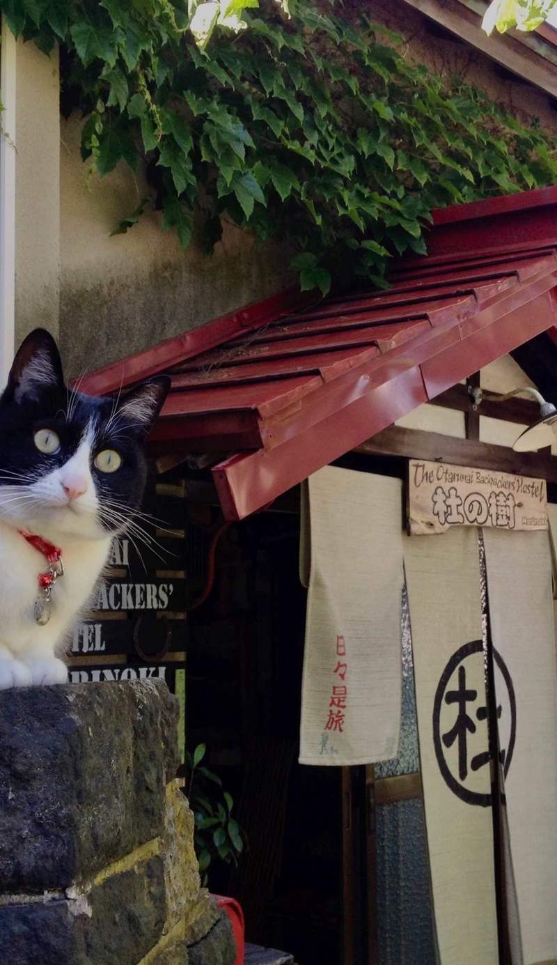 The Otarunai Backpackers Hostel Morinoki