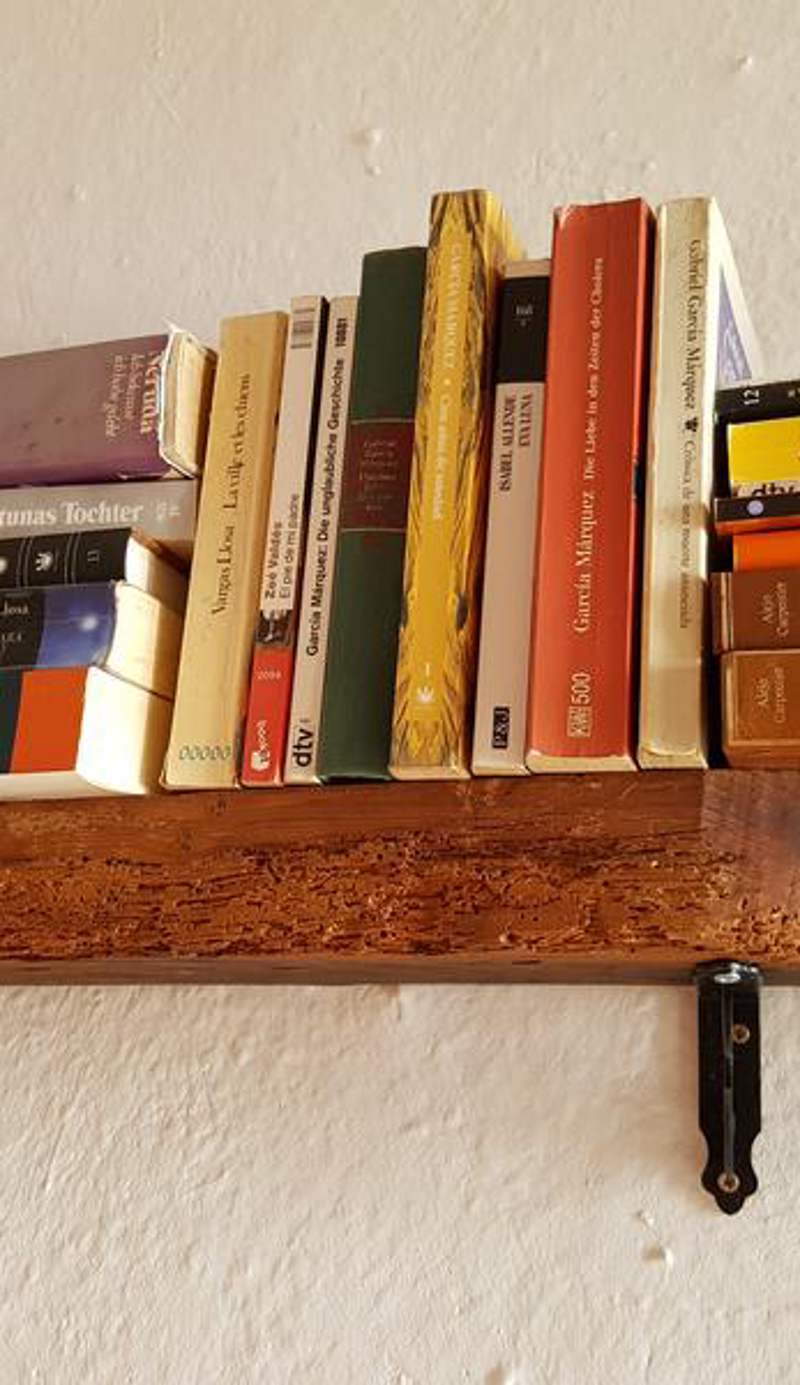 Ratones de biblioteca