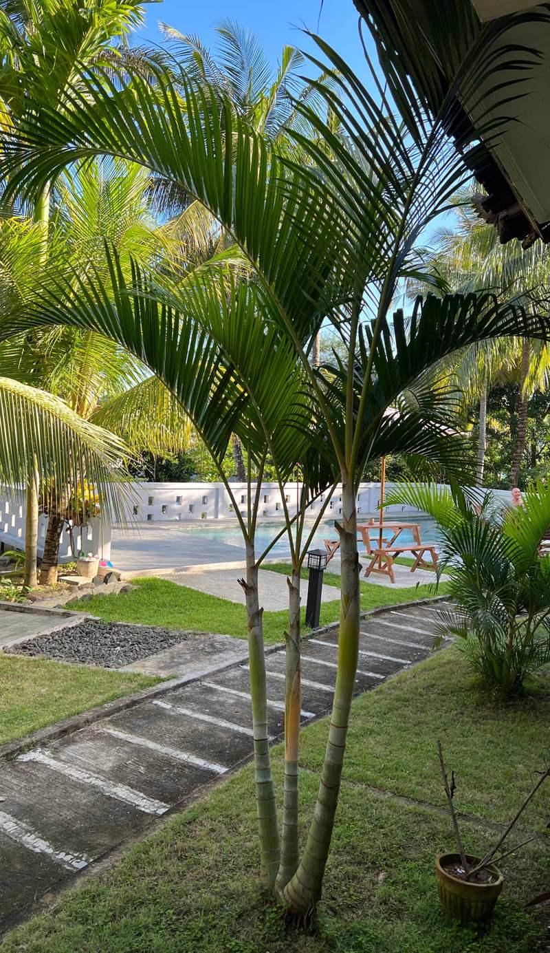 Kuta Circle Homestay