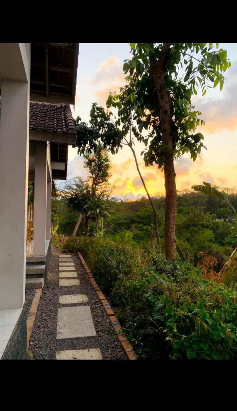 Tommy Homestay