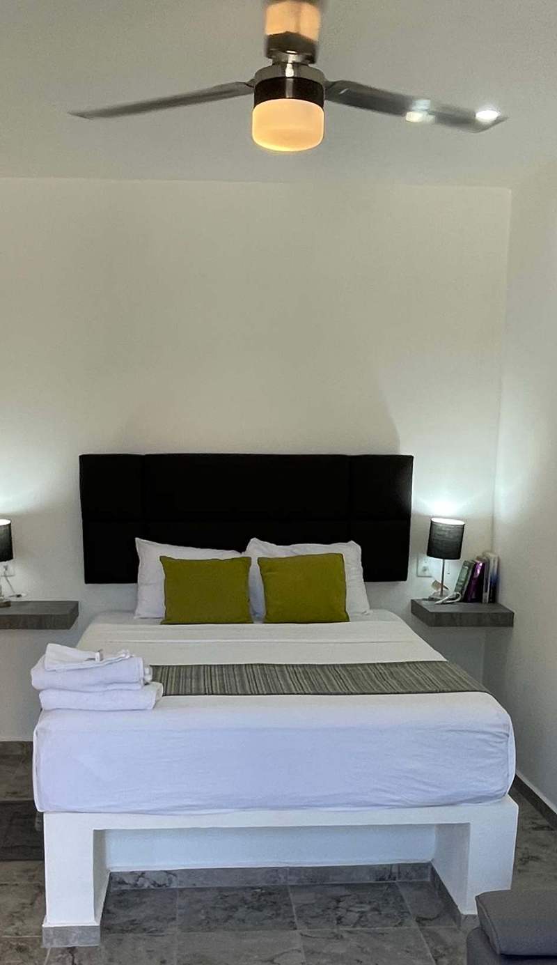 Lavish Studio with Balcony #4