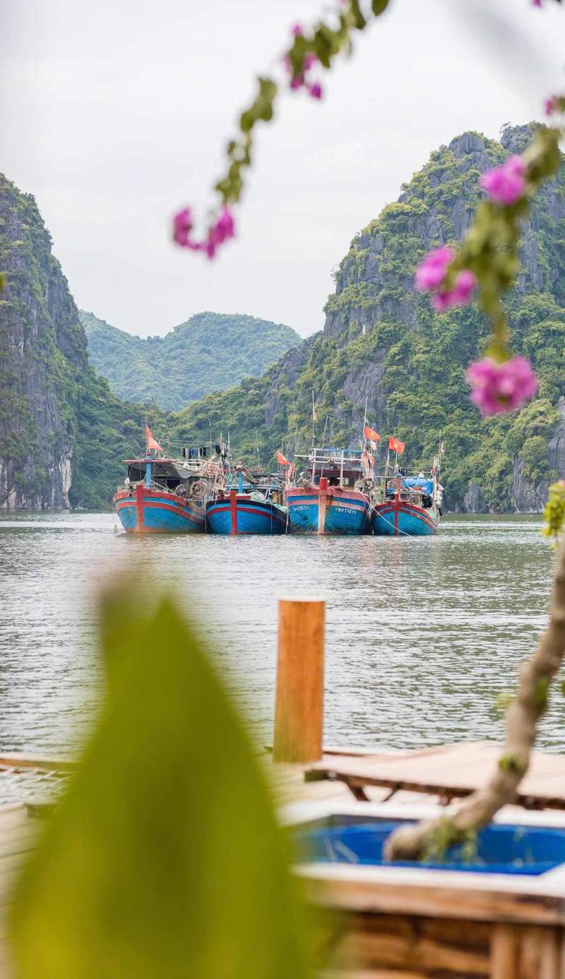 Lan Ha Floating Homestay