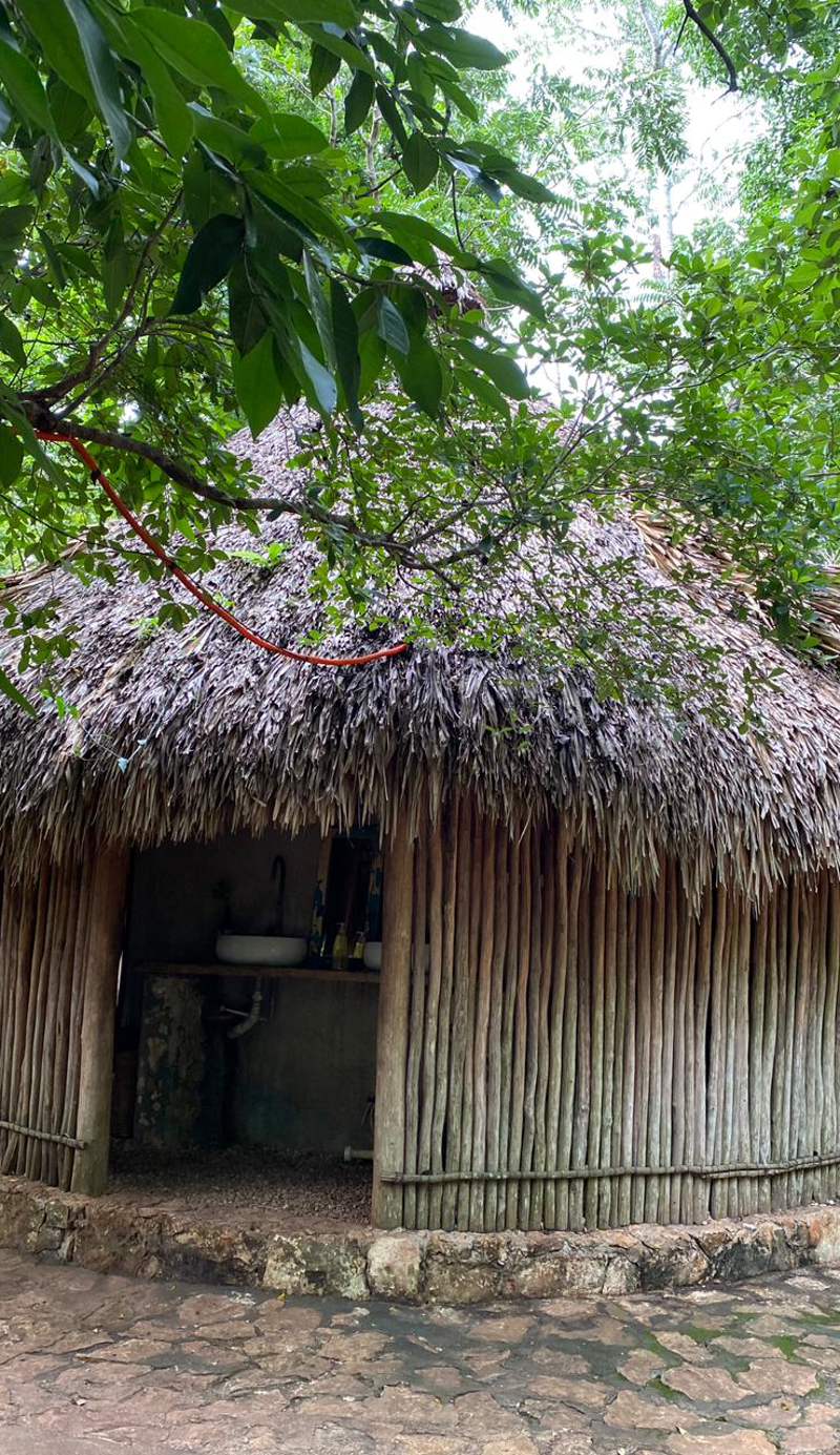Xkopek Native Bee Farm Camping