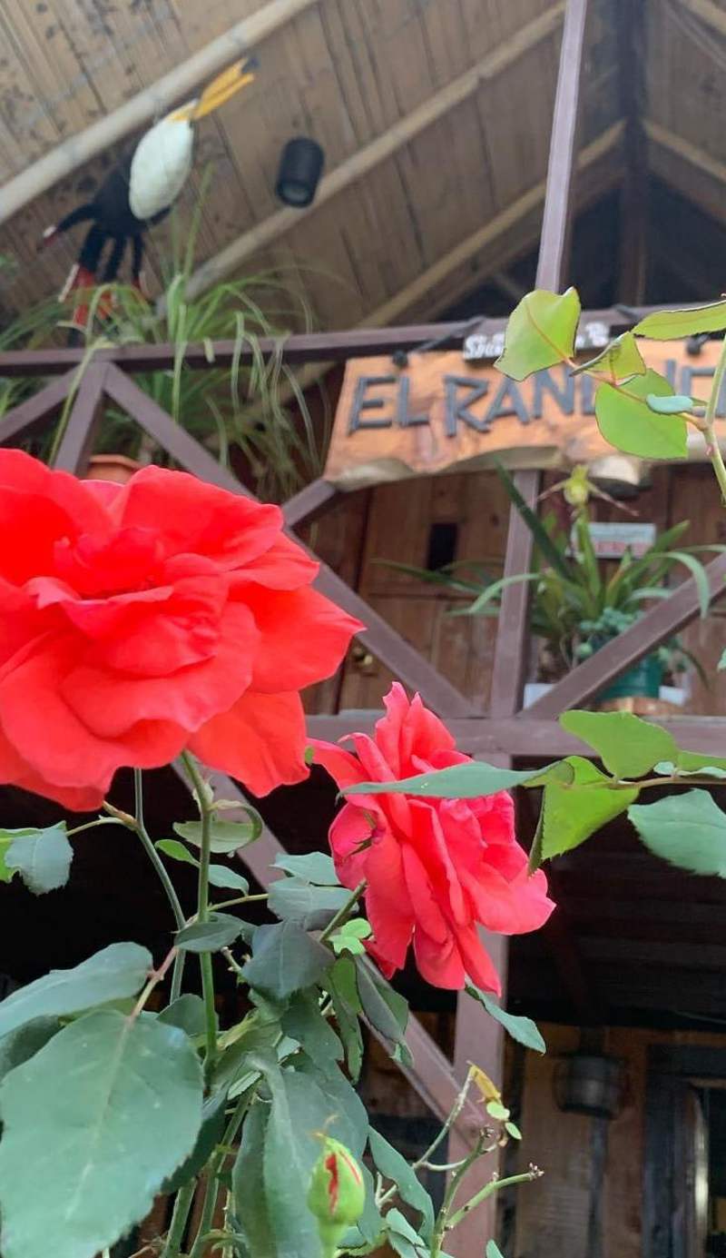 Vivienda Turistica El Rancho