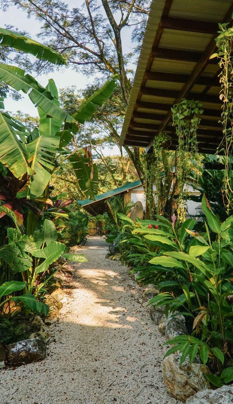Dream Surf House Santa Teresa (Playa Hermosa)
